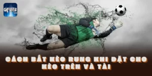 cách bắt kèo rung